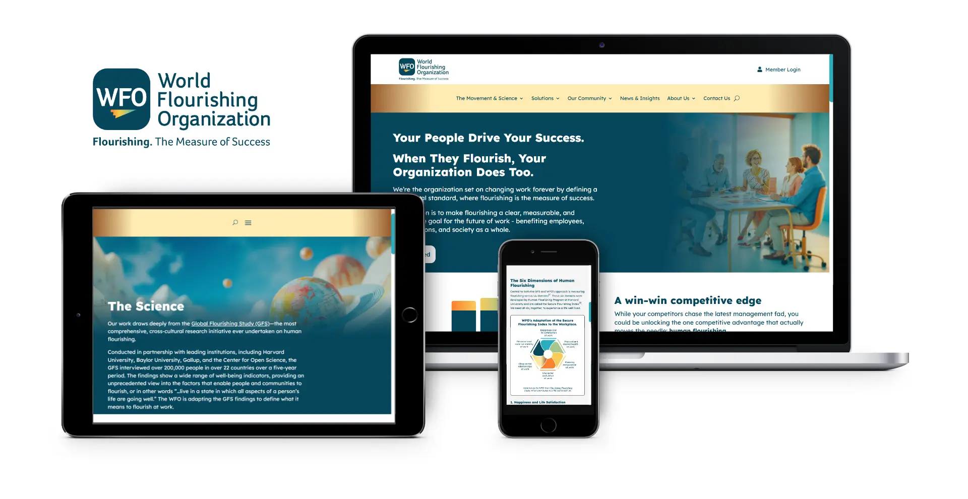 WFO - Website, graphics, branding